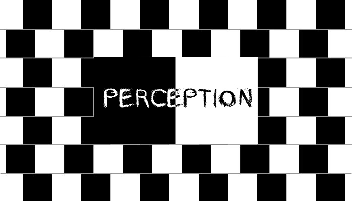 131° Giorno: Percezione